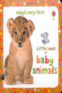 Little Book of Baby Animals (Usborne Inglés) - 9781409536819