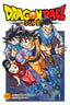 ✅ DRAGON BALL SUPER VOL 19 - 9781974739103
