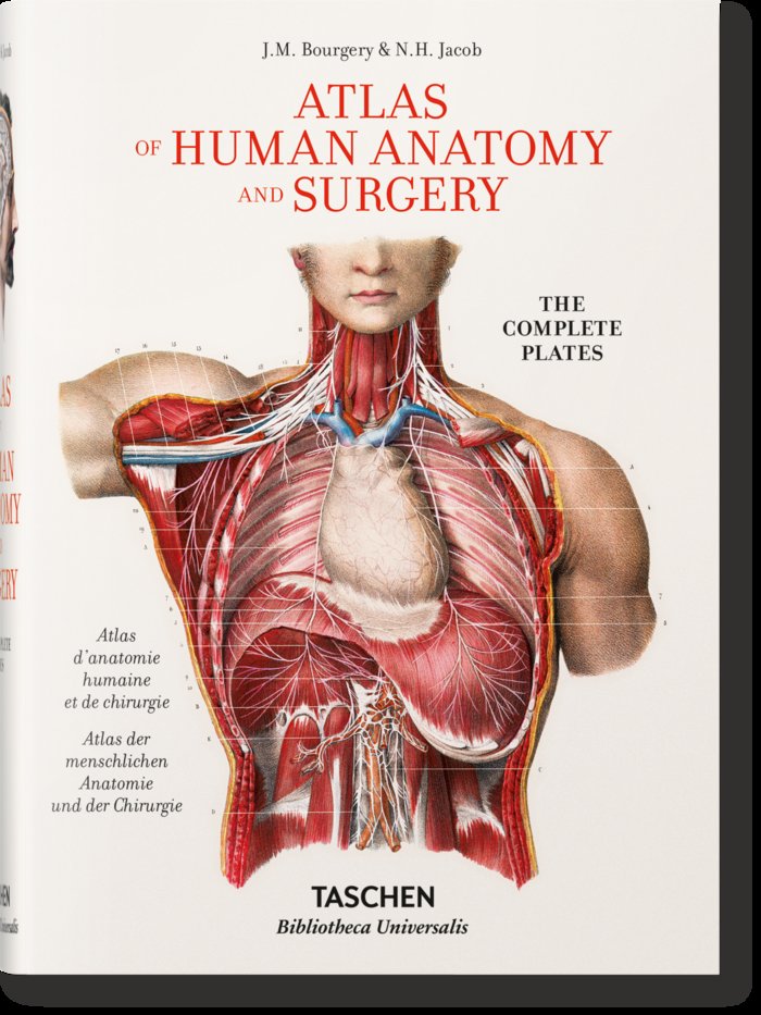 BOURGERY ATLAS OF ANATOMY ESITPO - 9783836556637