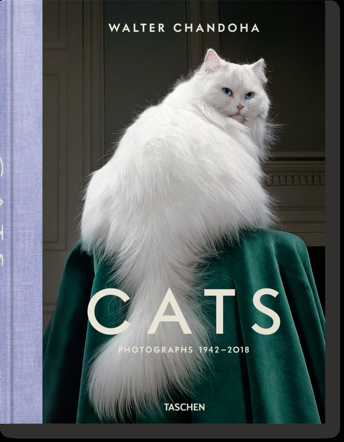 WALTER CHANDOHA CATS PHOTOGRAPHS 1942 2018 - 9783836573856 Imagen principal del producto