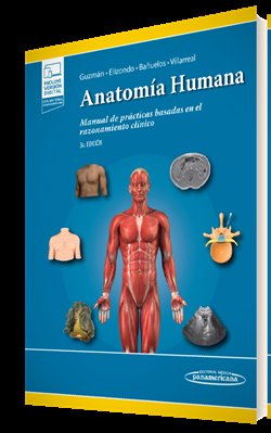 ANATOMIA HUMANA CASOS 5A ED EBOOK - 9786078546664 Imagen principal del producto