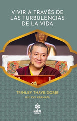VIVIR A TRAVES DE LAS TURBULENCIAS DE LA VIDA - 9786319005837