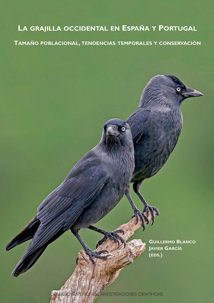 LA GRAJILLA OCCIDENTAL EN ESPAÑA Y PORTUGAL TAMAÑO POBLACI - 9788400111779