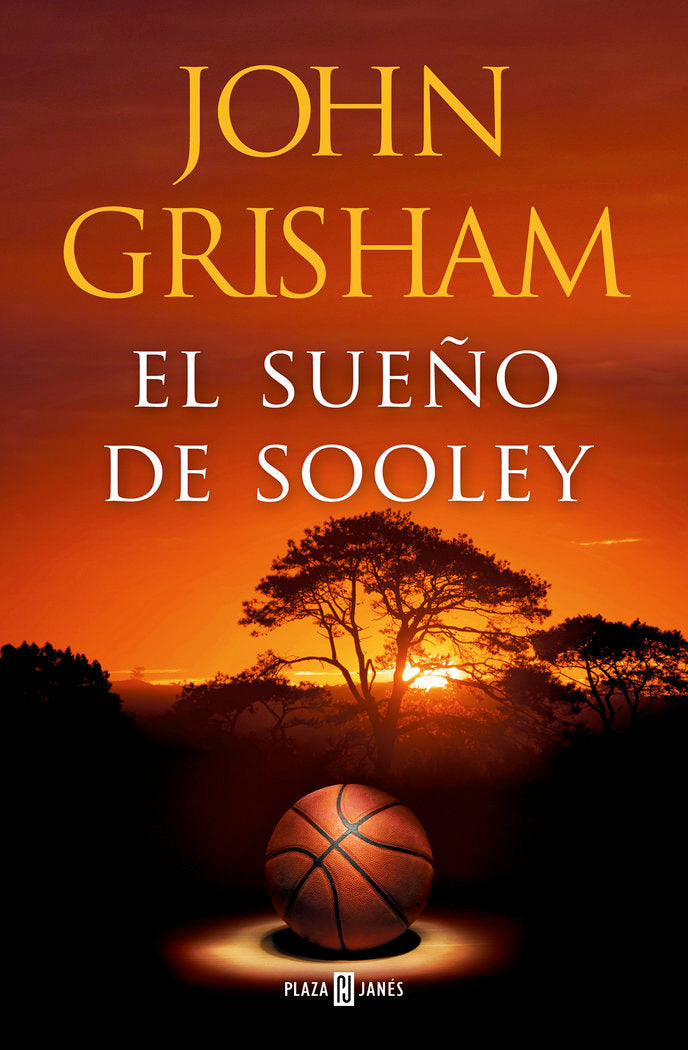 EL SUEÑO DE SOOLEY - 9788401029158 Imagen principal del producto