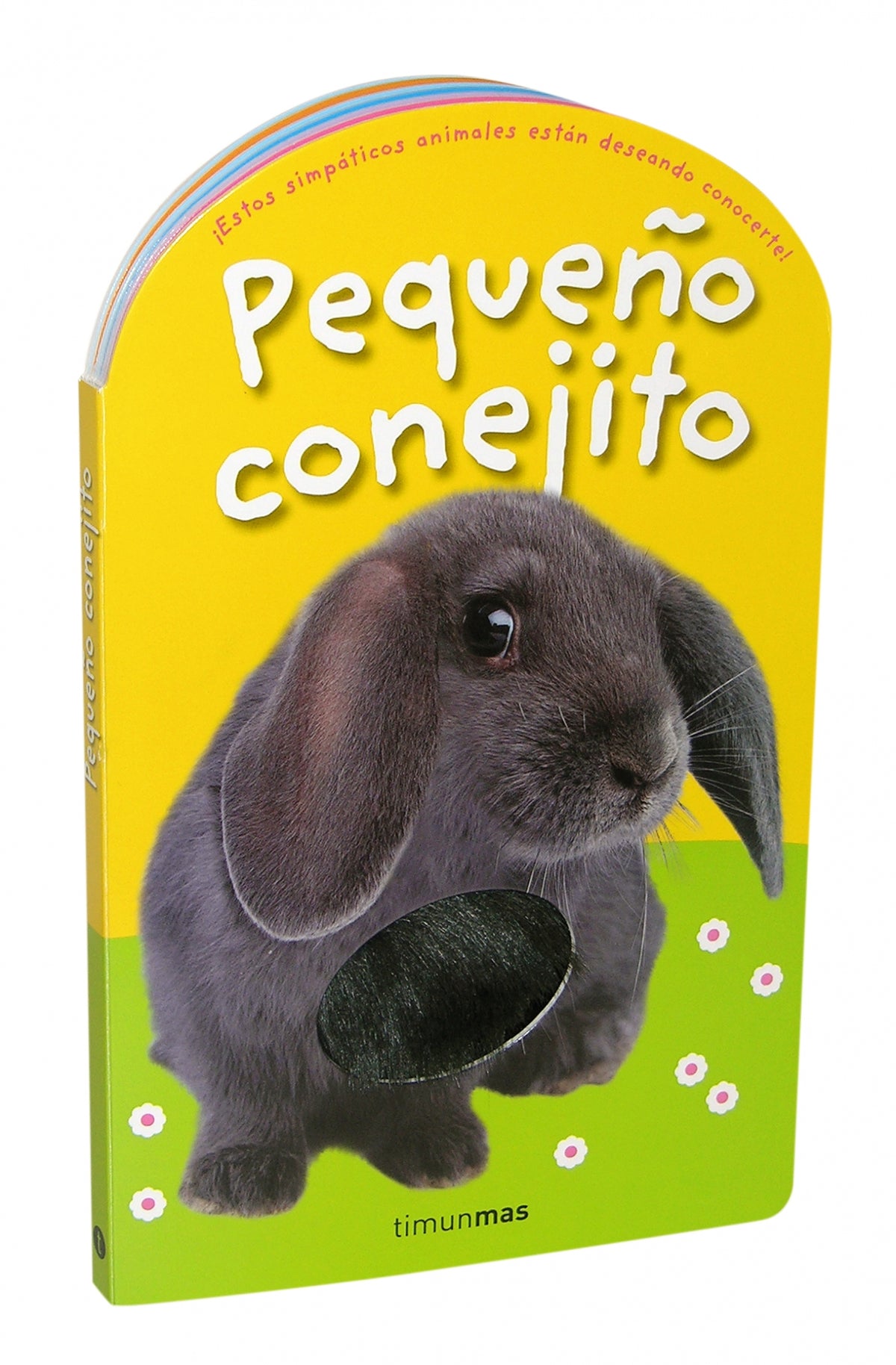 Pequeño conejito: Con texturas en el interior