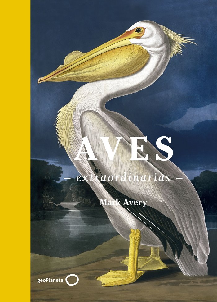 AVES EXTRAORDINARIAS - 9788408181477 Imagen principal del producto