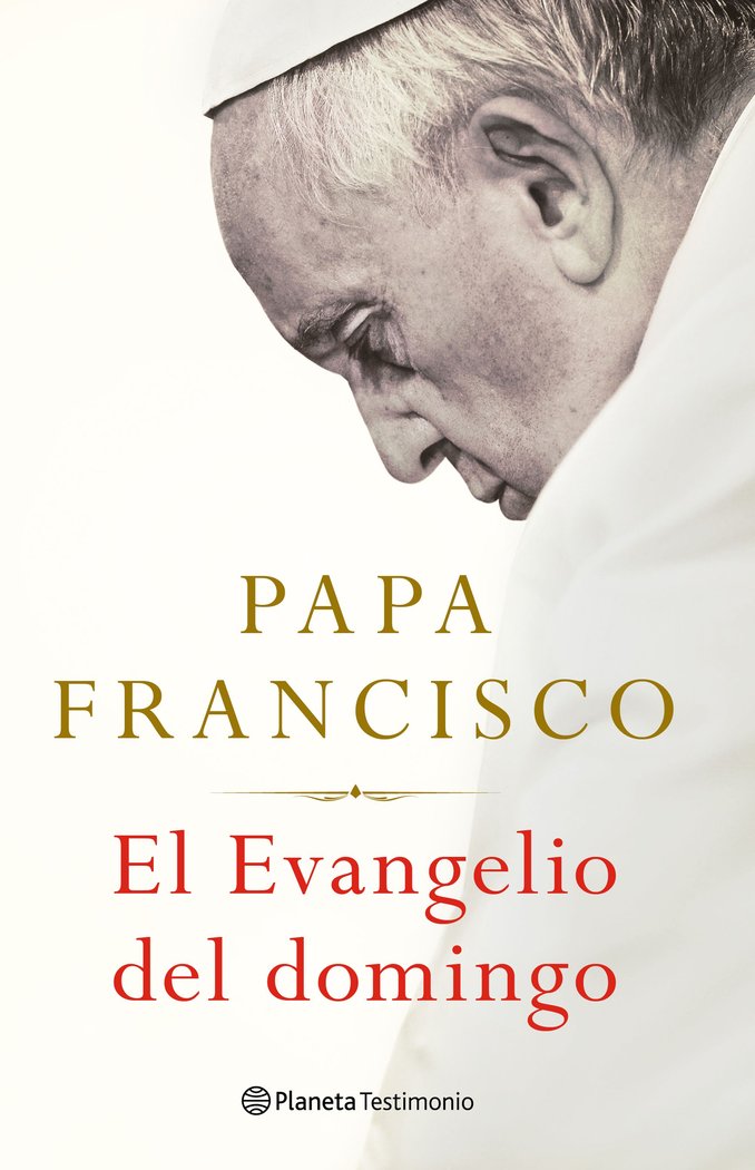 EL EVANGELIO DEL DOMINGO - 9788408238683 Imagen principal del producto
