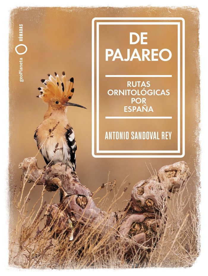 DE PAJAREO - 9788408251514 Imagen principal del producto