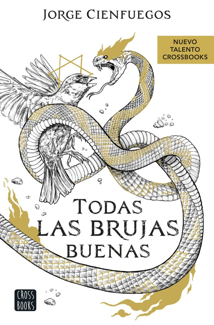 TODAS LAS BRUJAS BUENAS | Jorge Cienfuegos | 9788408260066 (Cross books)