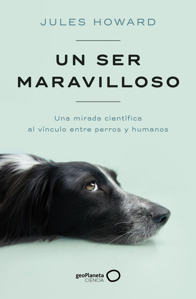 UN SER MARAVILLOSO - 9788408269328 Imagen principal del producto