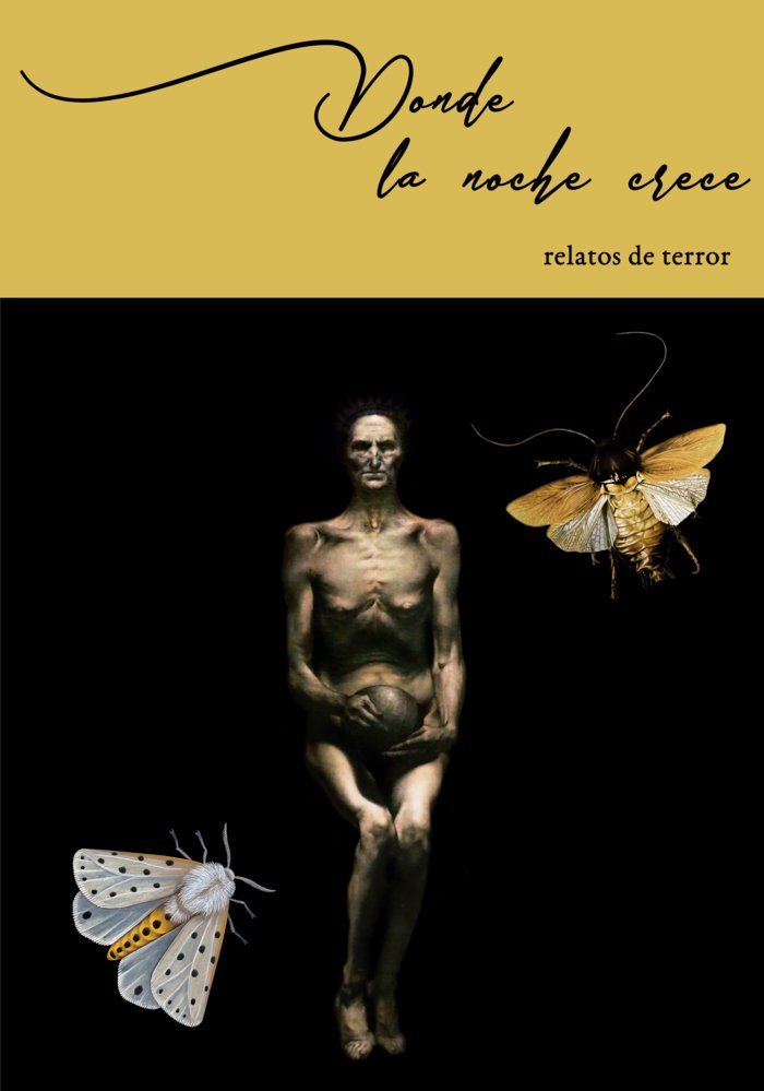 DONDE LA NOCHE CRECE I Varios autores I Escuela de Imaginadores I 9788409327010
