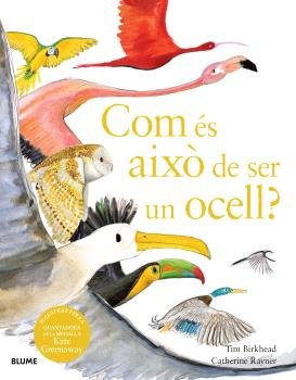 COM ÉS AIXÒ DE SER UN OCELL? I Birkhead, Tim;Rayner, Catherine I BLUME (Naturart) I 9788410048102