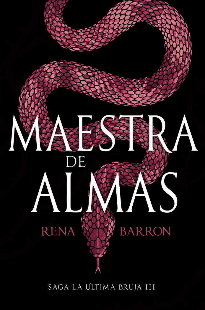 MAESTRA DE ALMAS | Barron,rena | 9788410163225 (Hidra,editorial) Imagen principal del producto