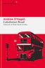 Caledonian Road (Libros del Asteroide S.L.U.) 9788410178373