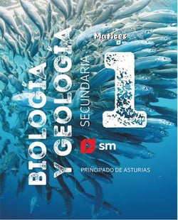 Biologia y Geologia 3ESO Astur | SM | 9788410554498 Imagen principal del producto