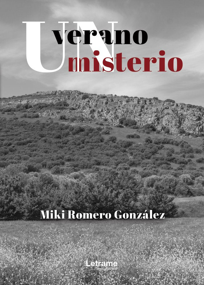 UN VERANO UN MISTERIO - 9788410684607 Imagen principal del producto