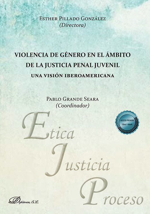 VIOLENCIA DE GENERO EN EL AMBITO DE LA JUSTICIA PENAL JUVENI - 9788410704763 Imagen principal del producto