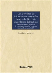 LOS DERECHOS DE INFORMACION Y CONSULTA FRENTE A LA DIRECCION - 9788410789722