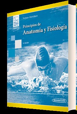 PRINCIPIOS DE ANATOMIA Y FISIOLOGIA EBOOK - 9788411060264 Imagen principal del producto