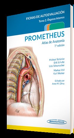 PROMETHEUS ATLAS DE ANATOMIA FICHAS DE AUTOEVALUACION - 9788411060387 Imagen principal del producto