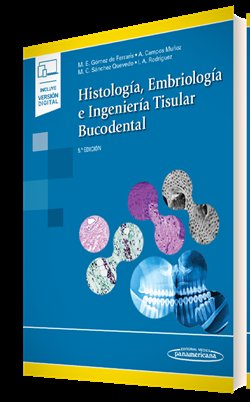 HISTOLOGIA EMBRIOLOGIA E INGENIERIA TISULAR BUCODENTAL - 9788411063241 Imagen principal del producto