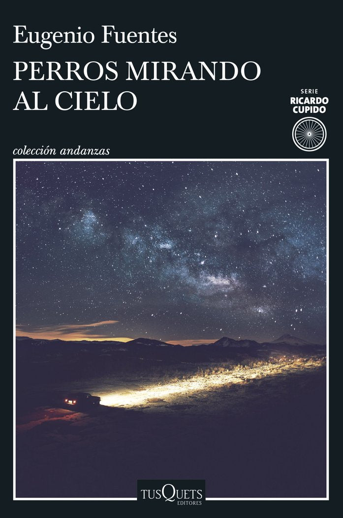 PERROS MIRANDO AL CIELO - 9788411070584