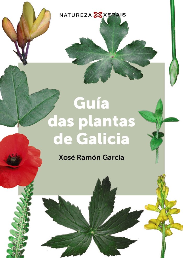 9788411103558 Imagen principal del producto
