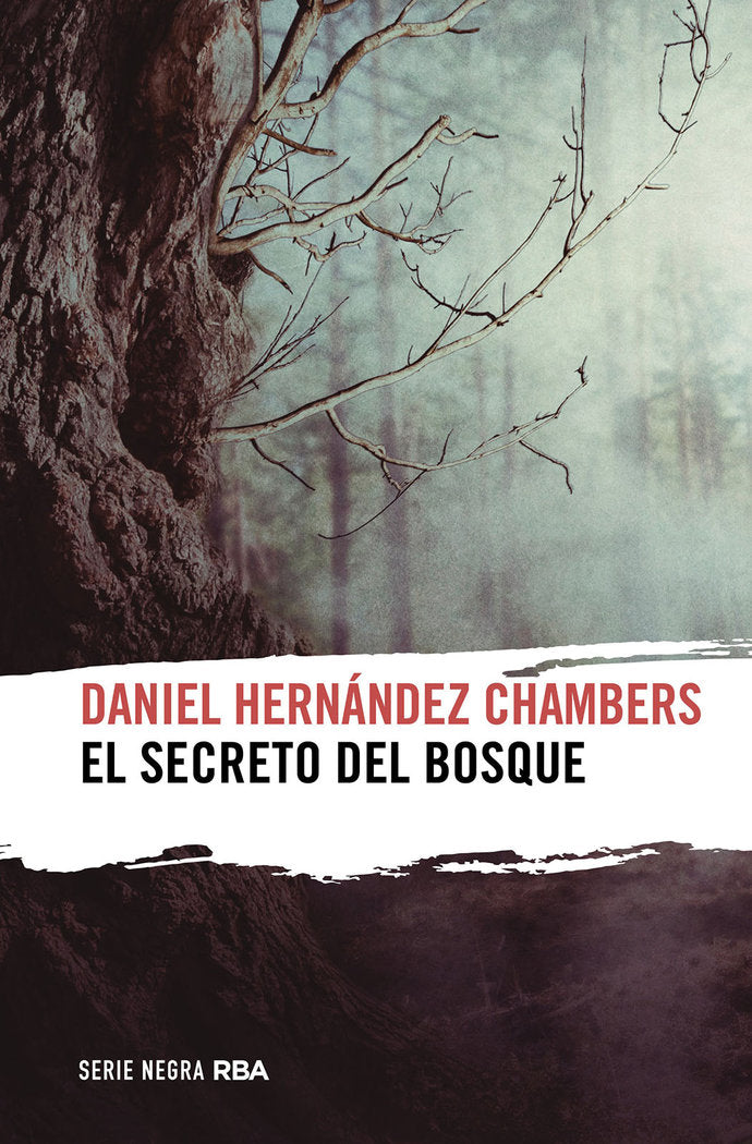 EL SECRETO DEL BOSQUE - 9788411321464 Imagen principal del producto
