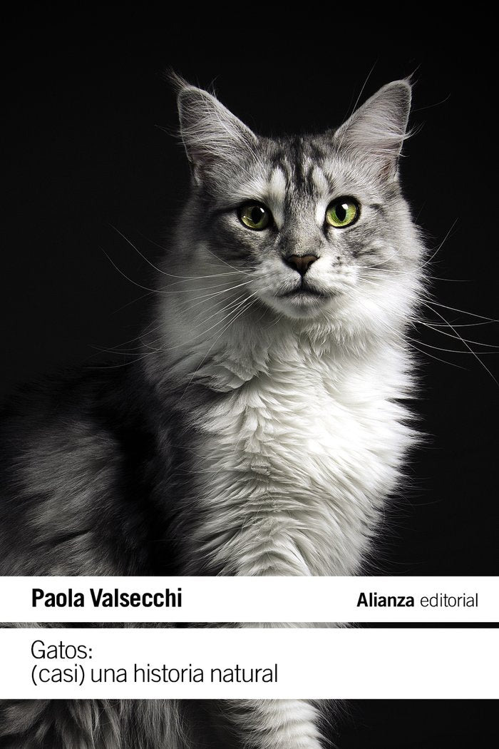 GATOS CASI UNA HISTORIA NATURAL - 9788411485616 Imagen principal del producto