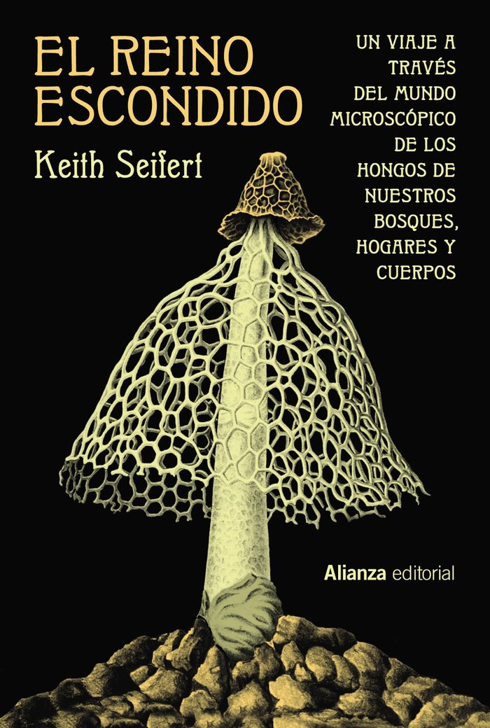 EL REINO ESCONDIDO - 9788411486590