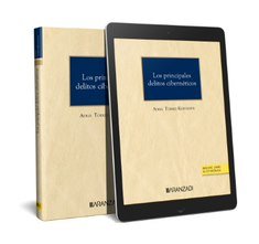 LOS PRINCIPALES DELITOS CIBERNETICOS DUO - 9788411634816