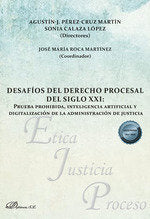 DESAFIOS DEL DERECHO PROCESAL DEL SIGLO XXI - 9788411708814 Imagen principal del producto