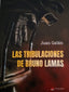 LAS TRIBULACIONES DE BRUNO LAMAS I Galán, Juan I Grupo Editorial Círculo Rojo SL I 9788411750837