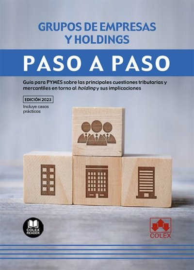 GRUPOS DE EMPRESAS Y HOLDINGS PASO A PASO - 9788411941082