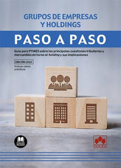 GRUPOS DE EMPRESAS Y HOLDINGS PASO A PASO - 9788411941082