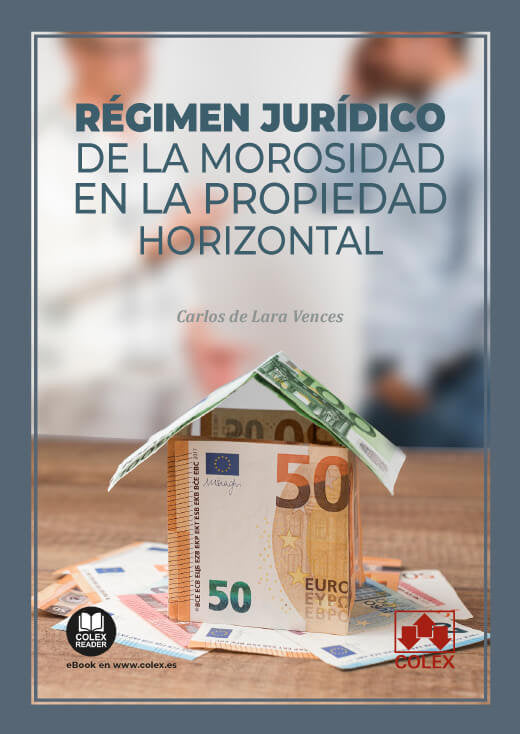 REGIMEN JURIDICO DE LA MOROSIDAD EN LA PROPIEDAD HORIZONTAL - 9788411941242 Imagen principal del producto