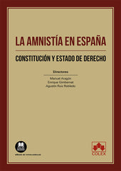 LA AMNISTIA EN ESPAÑA - 9788411942799