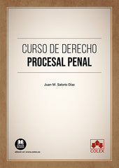CURSO DE DERECHO PROCESAL PENAL - 9788411944908