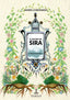 EL ORACULO DE SIRA II EL DESTINO DE SIRA | Coronado,maria | 9788412038682 (Pabilo,editorial)