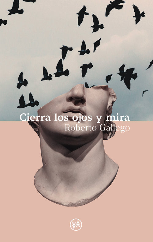 CIERRA LOS OJOS Y MIRA - 9788412101744 Imagen principal del producto