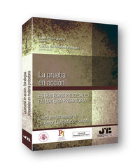 LA PRUEBA EN ACCION ESTRATEGIAS PROCESALES EN MATERIA PROB - 9788412115802