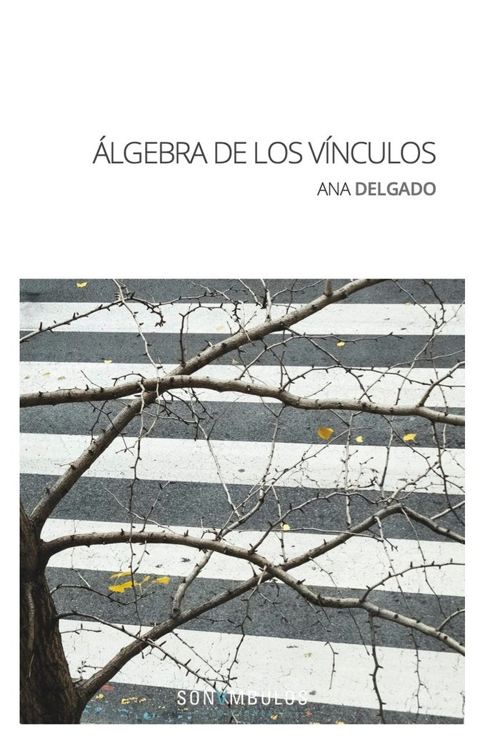 ALGEBRA DE LOS VINCULOS - 9788412204018