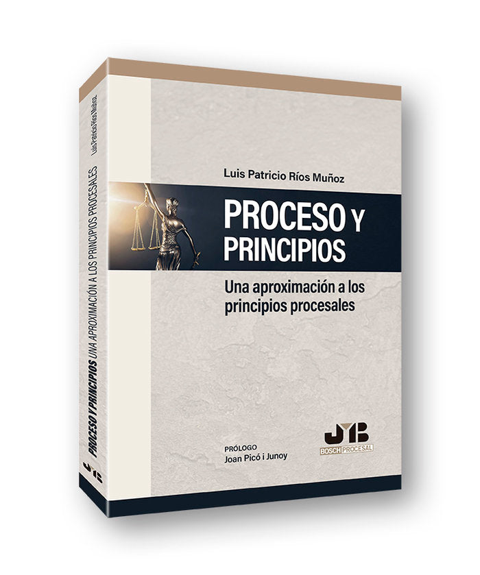 PROCESO Y PRINCIPIOS UNA APROXIMACION A LOS PRINCIPIOS PROC - 9788412252781 Imagen principal del producto