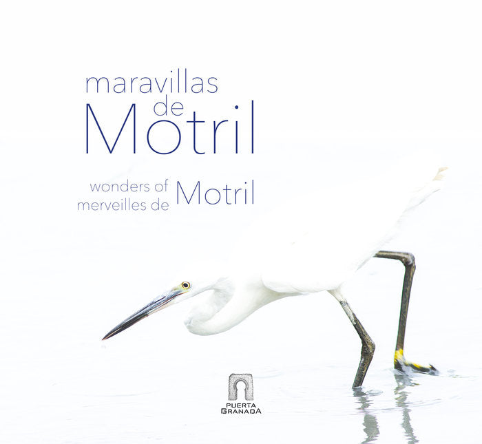 MARAVILLAS DE MOTRIL | MATEOS,RAFAEL | PUERTA GRANADA EDICIONES | 9788412263534 Imagen principal del producto