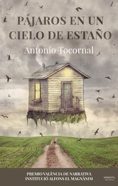 PAJAROS EN UN CIELO DE ESTAÑO - 9788412272512 Imagen principal del producto