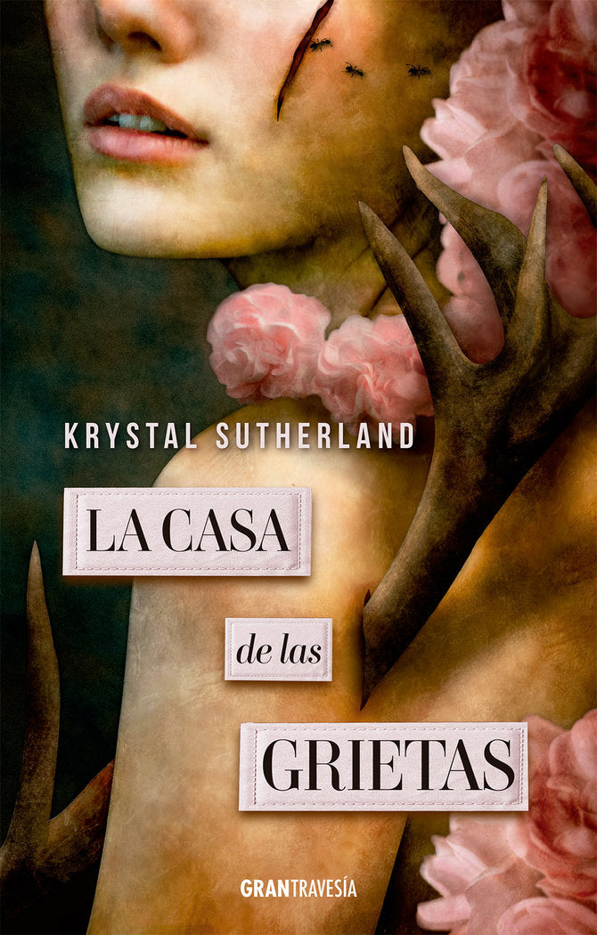 CASA DE LAS GRIETAS,LA | Sutherland,krystal | 9788412365597 (Oceano)