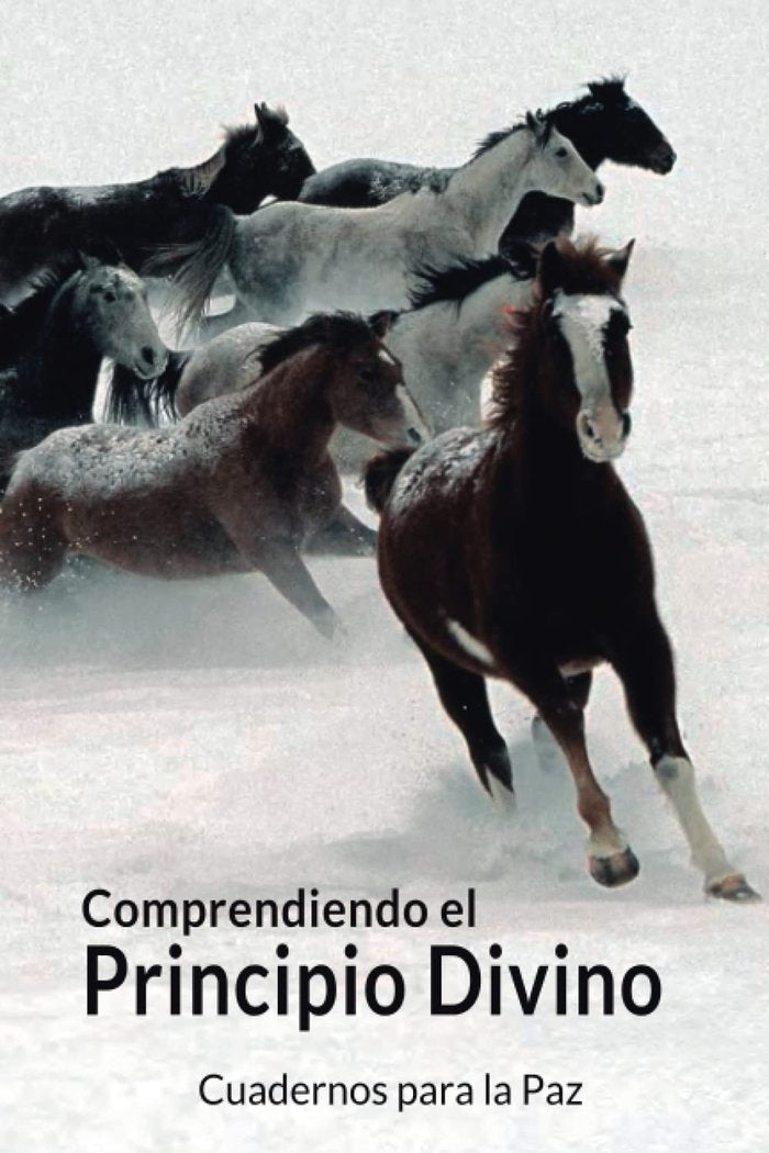 COMPRENDIENDO EL PRINCIPIO DIVINO - 9788412445794 Imagen principal del producto