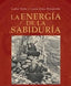 LA ENERGIA DE LA SABIDURIA - 9788412603637