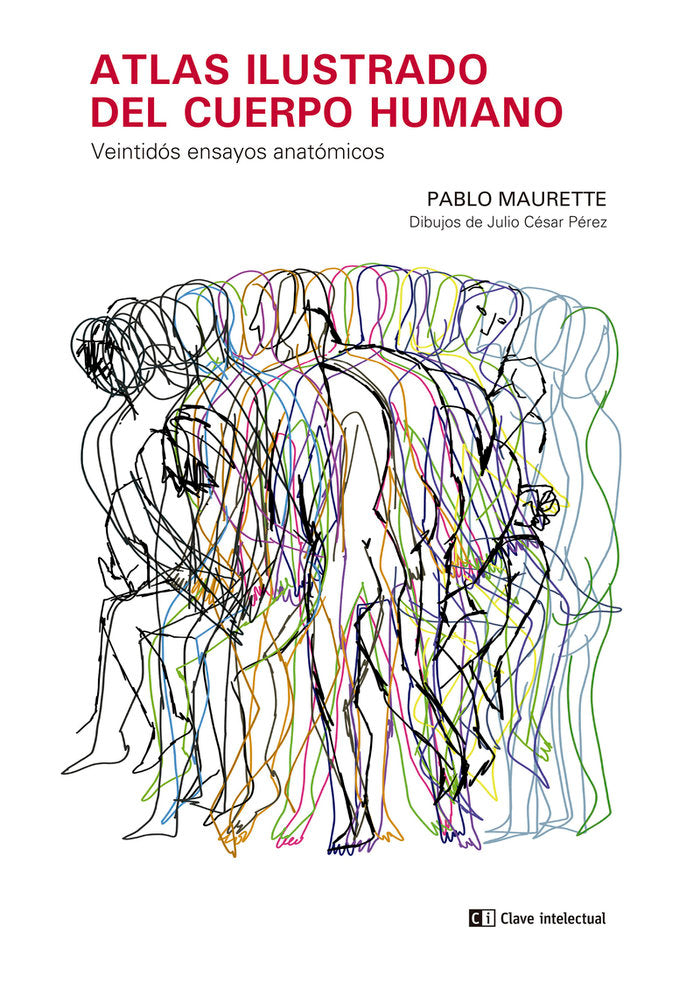 ATLAS ILUSTRADO DEL CUERPO HUMANO - 9788412644135 Imagen principal del producto