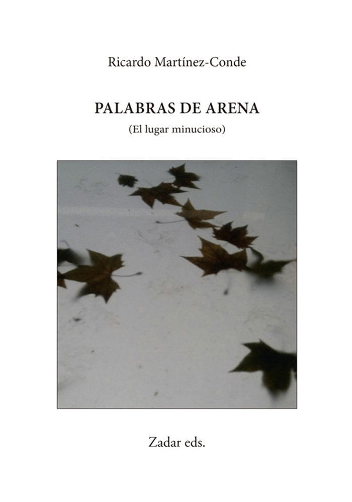 PALABRAS DE ARENA I Martínez-Conde, Ricardo I Fundación Jorge Guillén I 9788412656954
